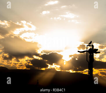 Silhouette di un corvo al tramonto ad Ashgabat Foto Stock