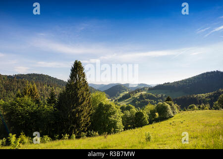 Un paesaggio collinare con prati e foreste, Belchen, Kleines Wiesental, Foresta Nera meridionale, foresta nera, Baden-Württemberg Foto Stock