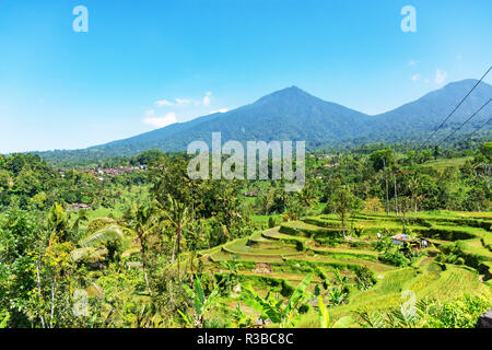 Scenario di Jatiluwih terrazze di riso in Tabanan, Bali, Indonesia. Foto Stock