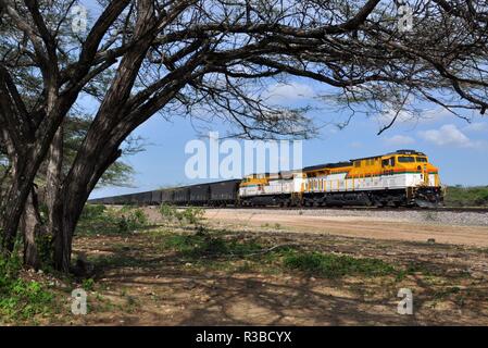 Il carbone importato in Germania su 14.11.2013 in un treno da miniera El Cerrejon - Colombia. | Utilizzo di tutto il mondo Foto Stock