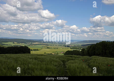 Vista da saalberg (alverdissen) nel Weserbergland Foto Stock