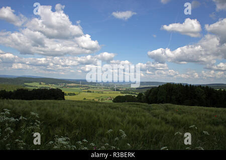 Vista da saalberg (alverdissen) nel Weserbergland Foto Stock