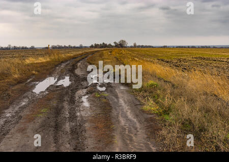 Sporco rurale strada di terra tra i campi nella piovosa stagione autunnale Foto Stock