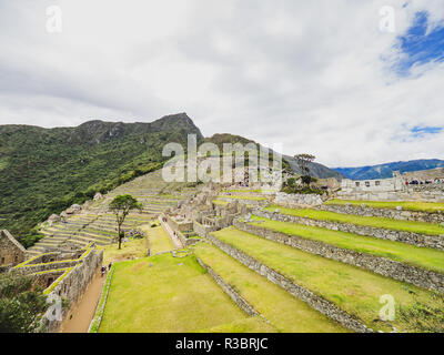 Tipiche costruzioni in terrazze nella cittadella di Machu Picchu cittadella Foto Stock