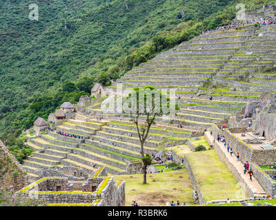 Tipiche costruzioni in terrazze nella cittadella di Machu Picchu cittadella Foto Stock