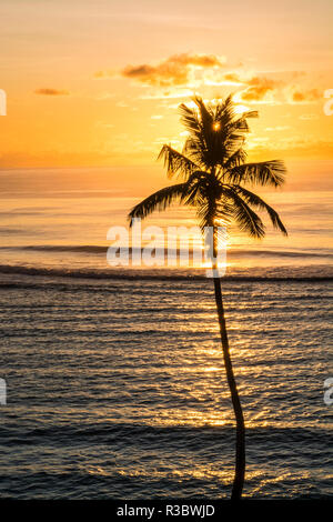 Anse Forbons spiaggia presso l'Hilton Doubletree Resort e Spa, Mahe, Repubblica delle Seicelle, Oceano Indiano. Foto Stock