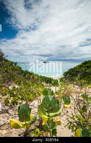 Le Indie occidentali francesi, St-Barthelemy. Anse de Grande spiaggia di soluzione salina Foto Stock