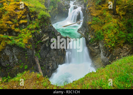 Canada, British Columbia, Little Qualicum Falls Parco Provinciale. Cascate su Little Qualicum River. Foto Stock