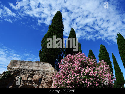 Via Appia Antica di Roma. Foto Stock