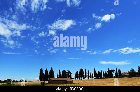 Via Appia Antica di Roma. Foto Stock