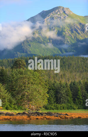 Viste panoramiche sulla vicina città di Tenakee Springs, Tenakee aspirazione, all'interno del passaggio, Alaska, STATI UNITI D'AMERICA Foto Stock