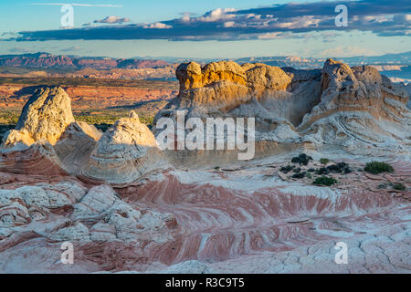 Paesaggio di pietra arenaria, Vermillion Cliffs, tasche Bianco Deserto del Bureau of Land Management, Arizona Foto Stock