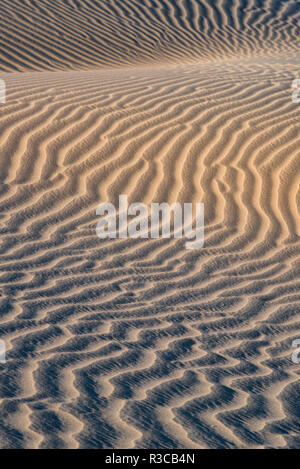 Stati Uniti d'America, in California. Linee astratte sulle dune di sabbia del deserto di Mojave sentieri monumento nazionale. Foto Stock