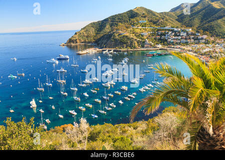 Città di Avalon sull isola Catalina, nel sud della California, Stati Uniti d'America Foto Stock