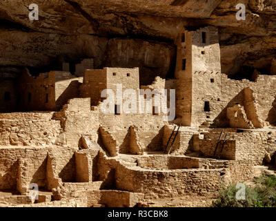 Stati Uniti d'America, Colorado, Mesa Verde National Park. Cliff Palace rovina Foto Stock