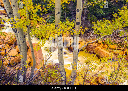 Stati Uniti d'America, Colorado, Red Mountain Pass. Mountain Creek e autunno a colori. Foto Stock