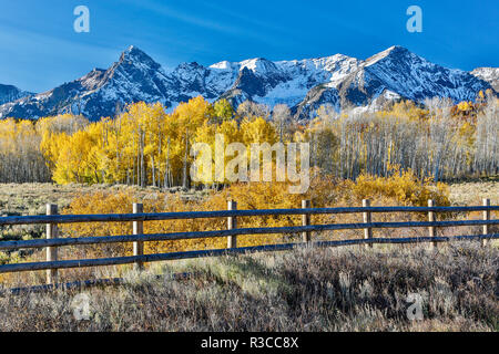 Stati Uniti d'America, Colorado, Ridgway. Colori autunnali accese con snowcovered mountains Foto Stock