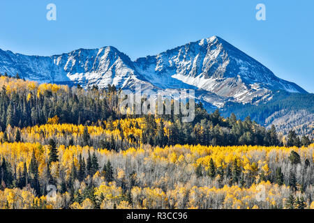 Stati Uniti d'America, Colorado, Ridgway. I colori dell'autunno evidenziando San Juan Mountain Range Foto Stock