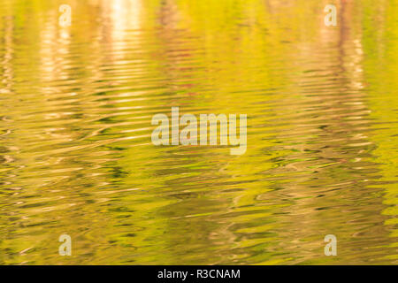 Acqua di riflessioni di passaggio di doratura, nel nord della isola di Vancouver, British Columbia, Canada Foto Stock