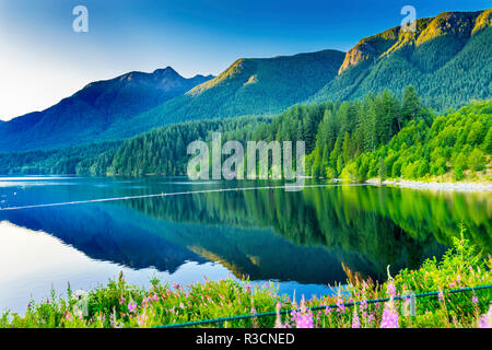 Il Capilano Diga lago montagne verdi, Vancouver, British Columbia, Canada Foto Stock