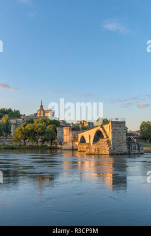 Ponte di Avignone, Avignone, Provenza, Francia Foto Stock