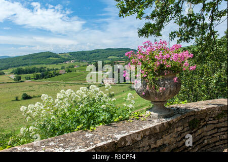 Terrazza, Chateau de, Pierreclos Pierreclos, Maconnaise, Borgogna, Francia Foto Stock
