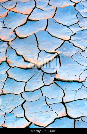 Stati Uniti d'America, Oregon, Alvord deserto. Crackled minerali sale playa on dry lake bed. Foto Stock