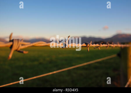 Una recinzione a filo spinato segna il confine della Sycan Marsh Preserve a  Lake County, Oregon. La riserva è di proprietà della Riserva Naturale Foto  stock - Alamy