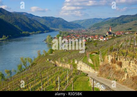 Weissenkirchen in der wachau - weissenkirchen nella Wachau 11 Foto Stock