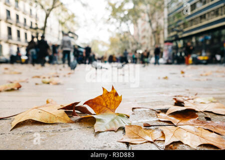 Primo piano di foglie secche sul marciapiede del alla Rambla street a Barcellona, Spagna, in un giorno di pioggia, con alcune persone non riconoscibili in background Foto Stock