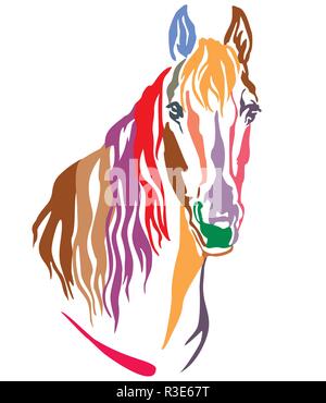 Decorativo colorato ritratto di cavallo bellissimo con lunga criniera, illustrazione vettoriale in colori diversi isolati su sfondo bianco. Immagine per la progettazione Illustrazione Vettoriale