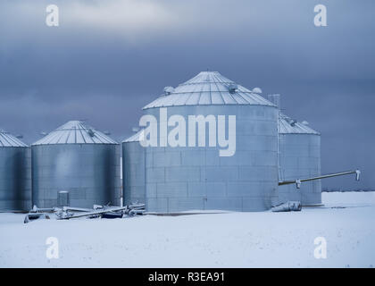 Grano di serbatoi di stoccaggio sotto un freddo inverno sky. Foto Stock