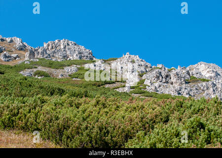 Aspre scogliere di cima del monte Elfer, Stubaital, Tirolo, Austria Foto Stock