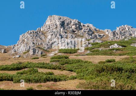 Aspre scogliere di cima del monte Elfer, Stubaital, Tirolo, Austria Foto Stock