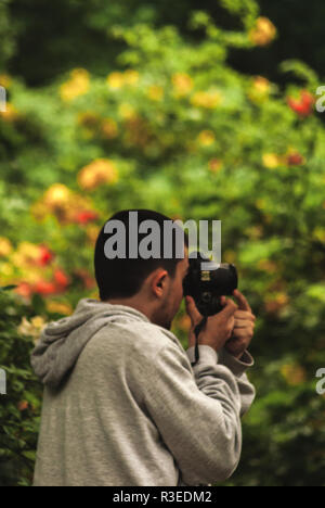 Fotografo che scatta foto di fiori gialli ad Azaladalen, Goteborg, Svezia Foto Stock