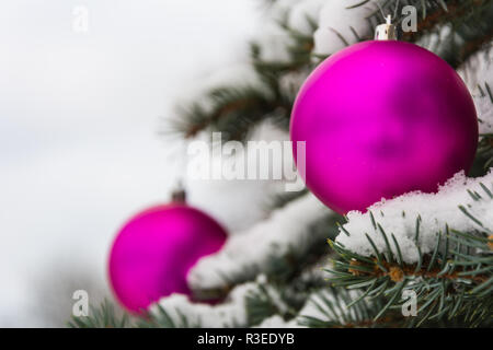 Rosa albero di Natale sfera su una coperta di neve ramo di albero vacanze invernali e concetto di decorazione Foto Stock