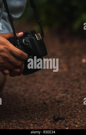 Fotografando una piccola lumaca sulla ghiaia ad Azaladalen, Slottsskogen, Gotenburg, Svezia Foto Stock