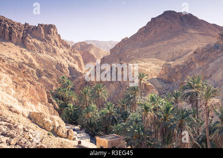 Oasi di montagna tamerza in tunisia vicino al confine con l'Algeria. Foto Stock