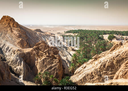 Oasi di montagna tamerza in tunisia vicino al confine con l'Algeria. Foto Stock