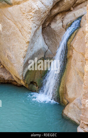 Cascata in oasi di montagna. chebika,Tunisia,africa Foto Stock