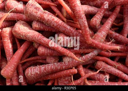 Raccolti freschi coltivati localmente crudo carote rosse in un Indiano gli agricoltori a produrre nel mercato Jaipur, Rajasthan, India. Foto Stock