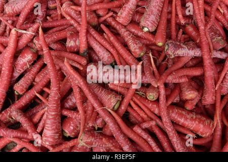 Fresco raccolto localmente cresciuto carote rosse crude in un mercato indiano di produzione di agricoltori a Jaipur, Rajasthan, India Foto Stock