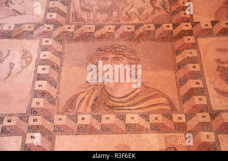 Pavimento a mosaico in casa di Dionysos, Sito Archeologico di Kato Pafos, Paphos (Paphos), Pafos District, la Repubblica di Cipro Foto Stock