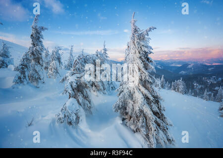 Un bel tramonto nelle soleggiate colline pedemontane delle Alpi colpisce lo spettatore immaginazione, fitte foreste sulle pendici di nascondere le tracce di civiltà Foto Stock