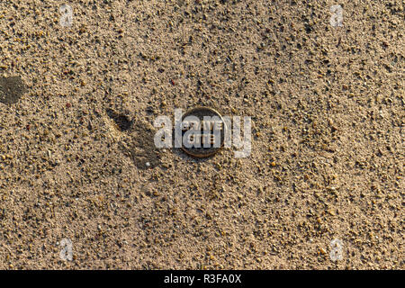 Luogo di sepoltura marcatore sul marciapiede fuori del cimitero di El Campo Santo, centro storico, San Diego, California, Stati Uniti. Foto Stock