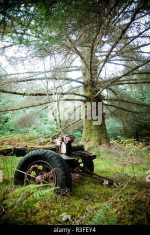 Vecchio trattore abbandonati in mezzo alla foresta corroso dalla ruggine e la corrosione Foto Stock