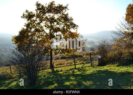 Autunno scene Fackenden verso il basso sopra il Darent meridionale Valle (west Kent) su un itinerario a piedi attraverso il North Downs AONB Foto Stock