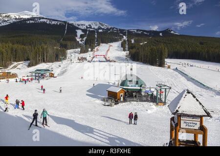 Piste da sci alpino, piste da sci curate presso la famosa area sciistica di Lake Louise. Parco nazionale di Banff, Alberta Canada, Montagne Rocciose in inverno Foto Stock