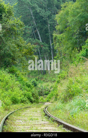 (Fuoco selettivo) la famosa linea ferroviaria di collegamento a Kandy Ella in Sri Lanka. Foto Stock