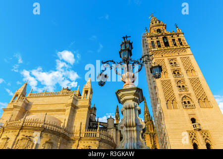 Immagine di una vista sulla Cattedrale di Siviglia da Plaza del Triunfo a Siviglia, Spagna Foto Stock